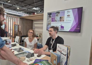 foire mpls