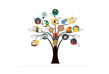 rapport annuel d'évaluation 2022 