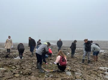 quadrat estran Fouras